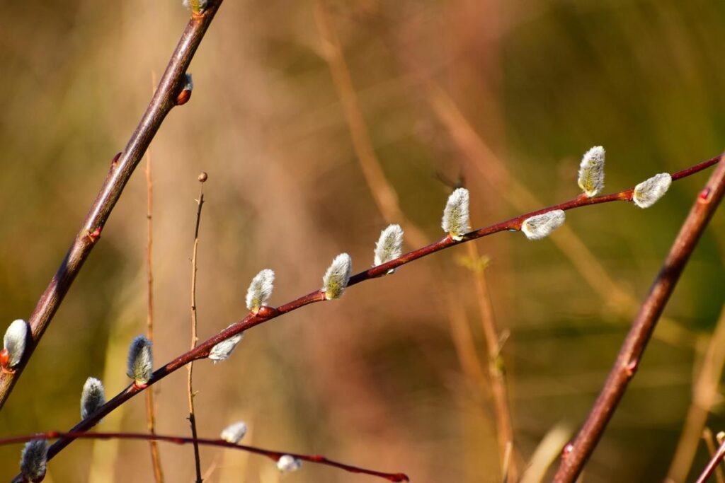 The heat is receding: forecasters have warned of a cold snap this weekend