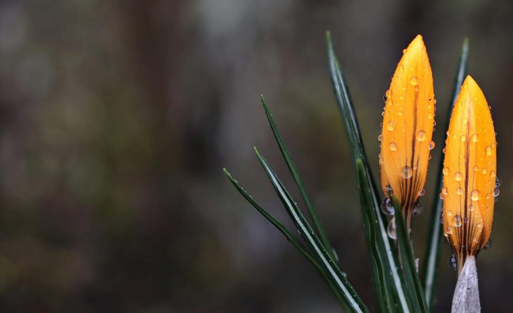 The last breath of warmth: forecasters warn of a cold snap