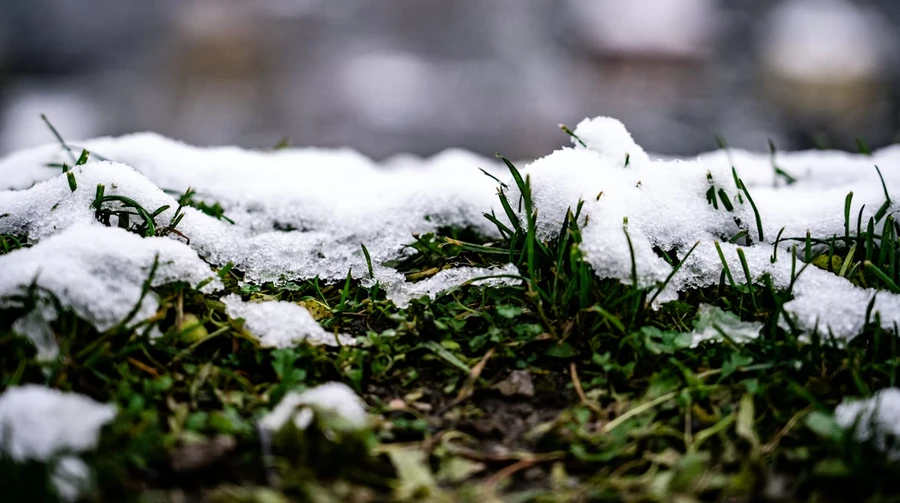 В Україні 27 квітня очікується прохолодна та вітряна погода, місцями дощ із мокрим снігом