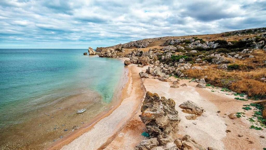 The Sea of Azov is under threat: the occupiers are preparing to catch hundreds of thousands of tons of jellyfish