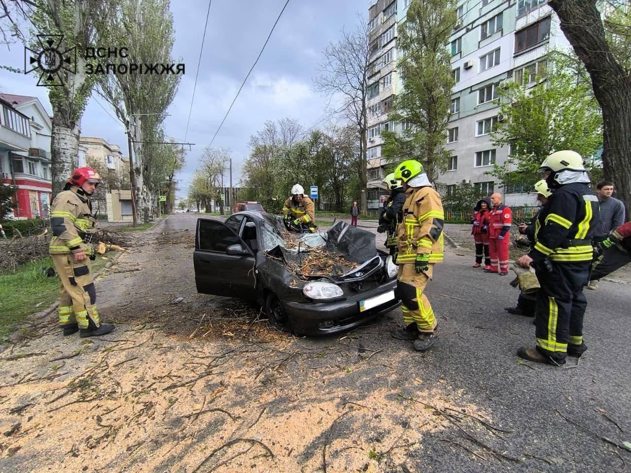 Смертельна негода: у Запоріжжі під час буревію дерево розчавило автівку з водієм