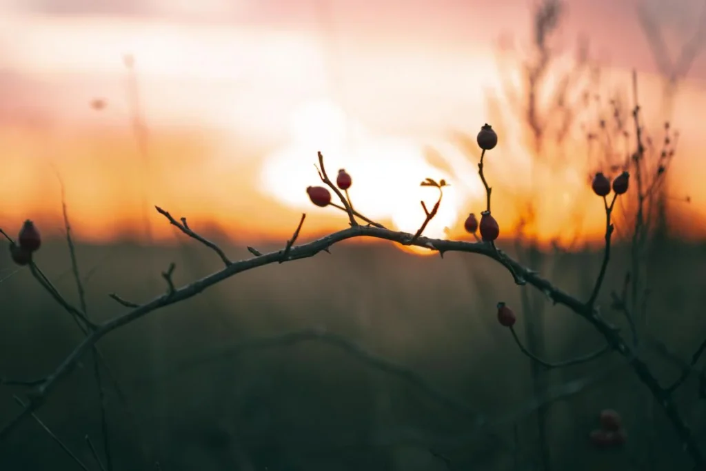 Spring warmth recedes: forecasters warn of cooling
