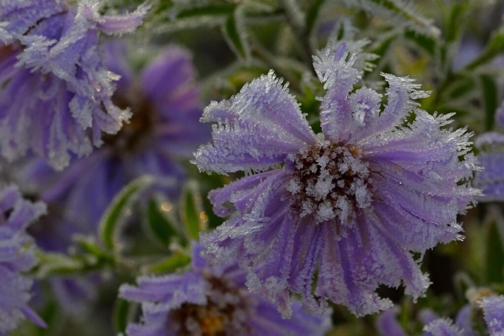 Rain, cold and frost: what will the weather be like this weekend?