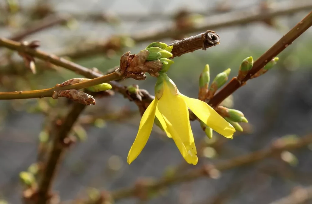 Rain and gusts of wind: Ukraine faces unstable weather