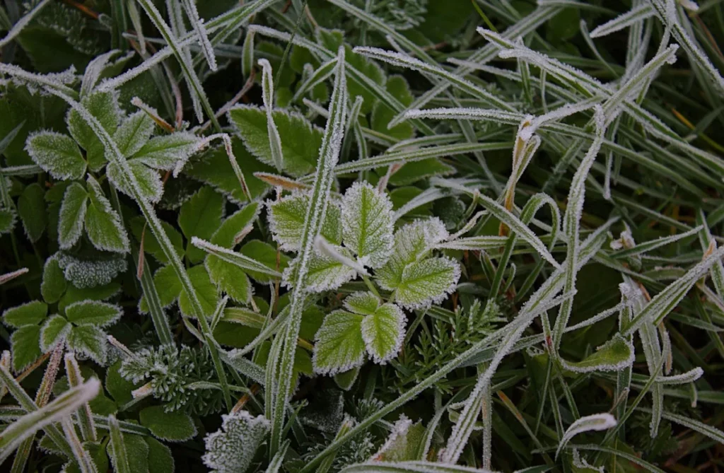 The weather will change significantly in Ukraine: where will there be frost?