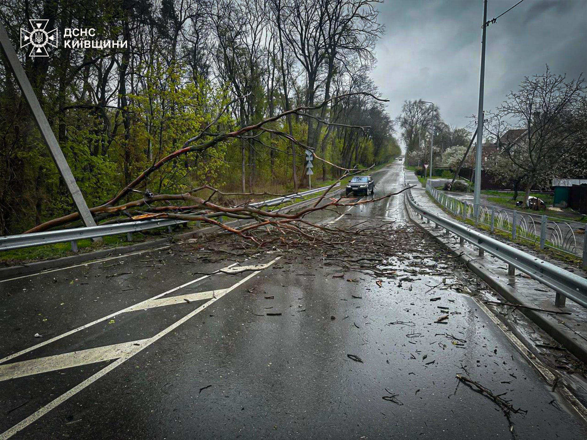 Україну накрила сильна негода: дві людини загинули, без світла зашились понад 1000 населених пунктів