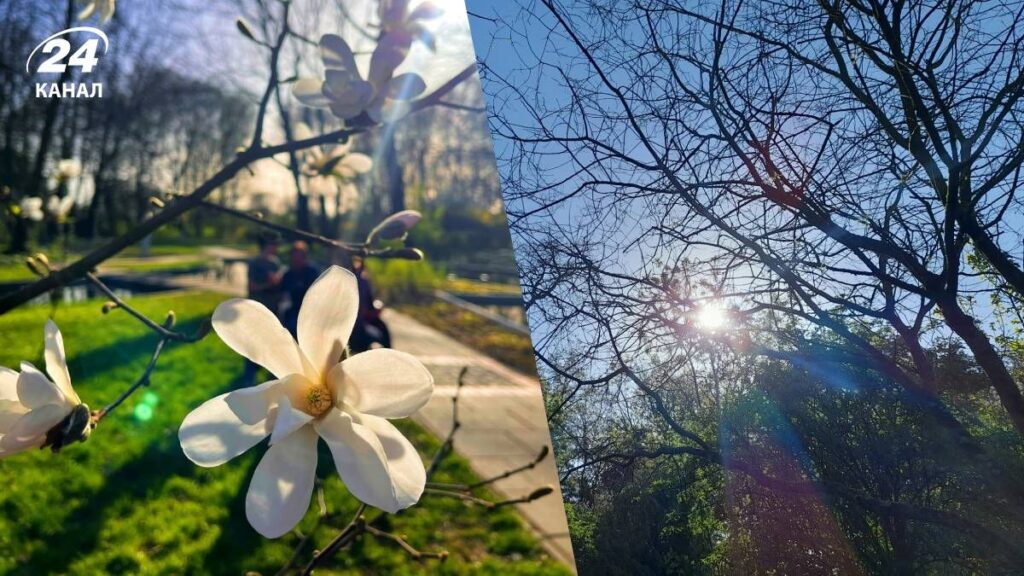 Rain, thunderstorms and up to +29: weather in Ukraine until the end of the week