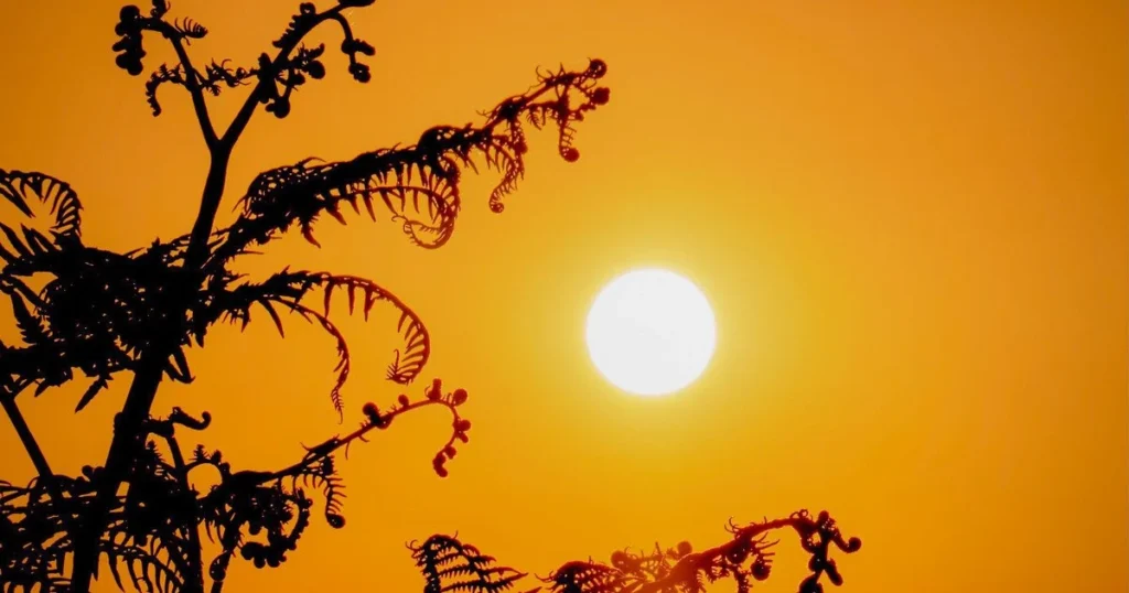 Ukraine will be covered by abnormal heat: when the temperature soars to +38