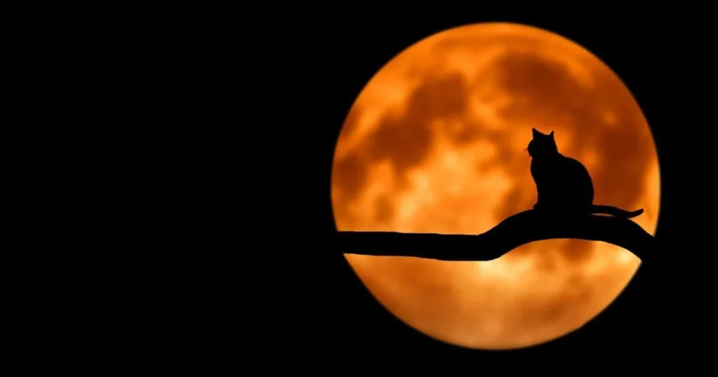 The Deer Moon will rise over Ukraine: when to observe the brightest full moon