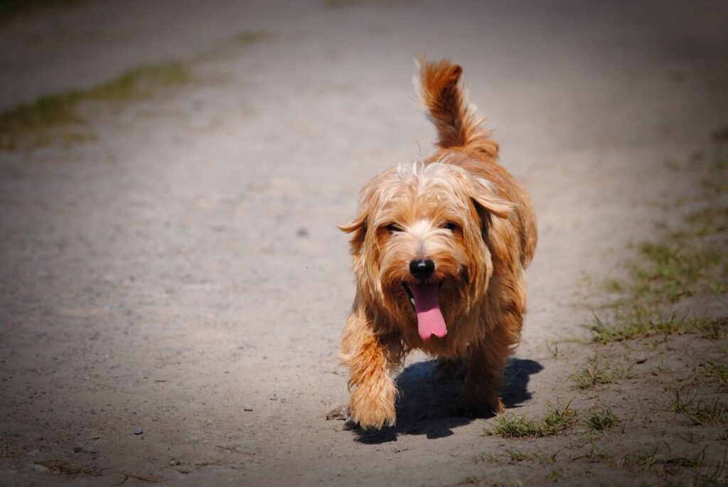 Сонце і спека повертаються: якою буде погода в Україні наприкінці тижня