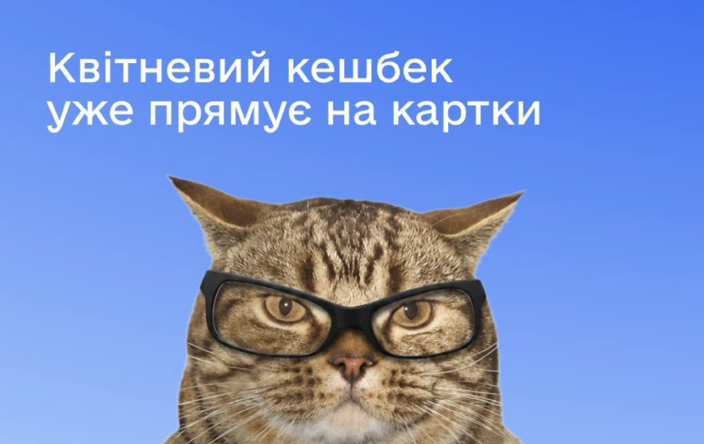 Ukrainians have started receiving National Cashback payments: what is the validity period for using the funds?