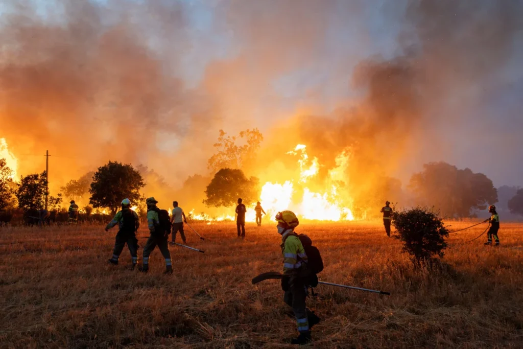 Europe on fire: Italy, Spain and France engulfed by forest fires