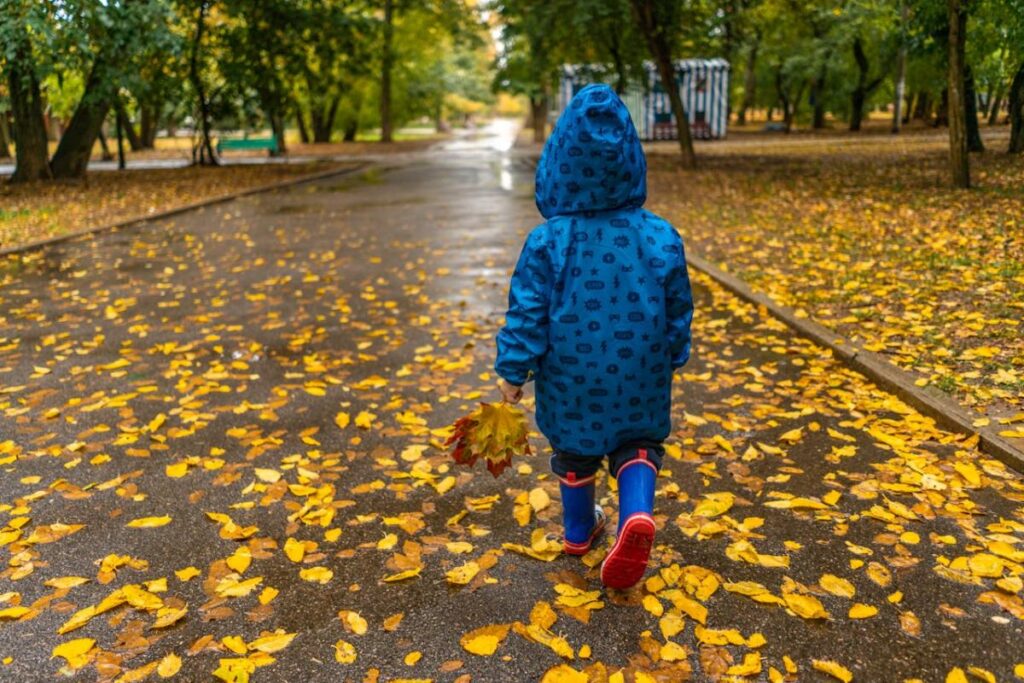 The end of October will bring cold weather and rain: which regions will be hit by bad weather?